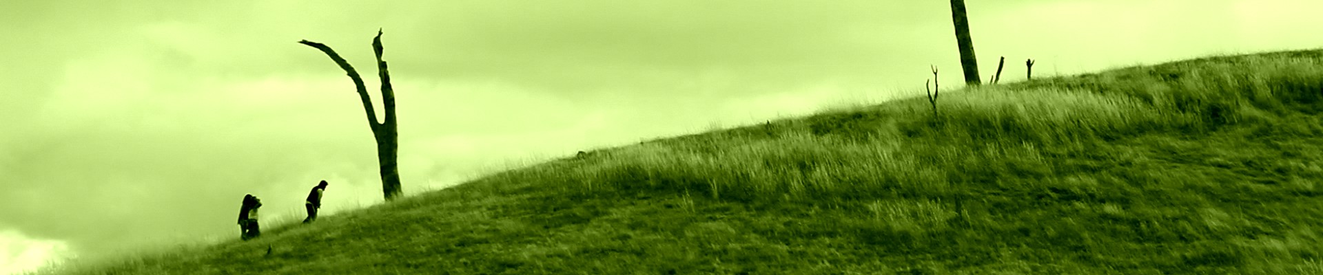 Green Fallow - Warwick Field